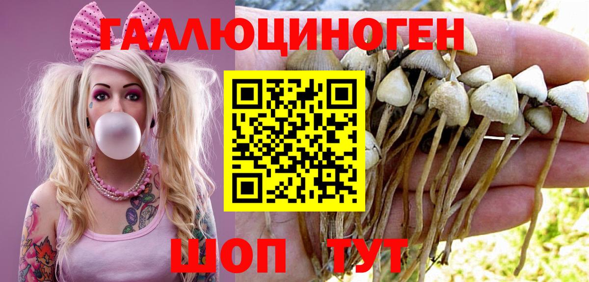 Галлюциногенные грибы мухоморы Искитим